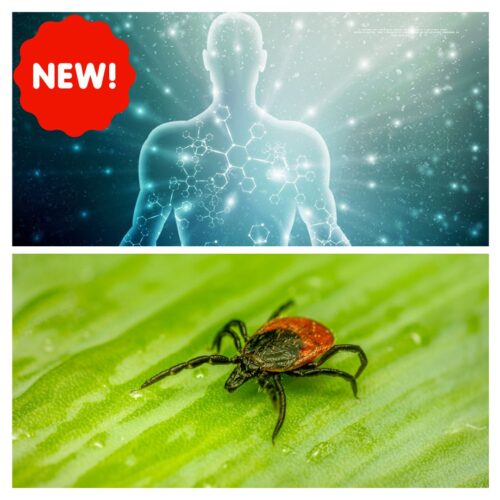 New DNA ConneXions Whole Body Health Test & Lyme Disease Test Combo