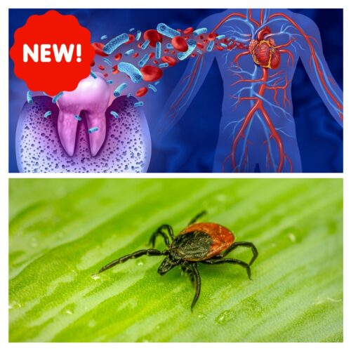 New DNA ConneXions Periodontal Test & Lyme Disease Test Combo