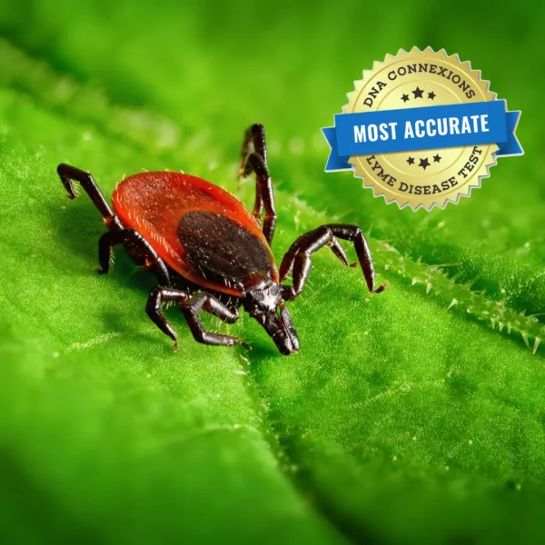 DNA ConneXions Most Accurate Lyme Disease Test