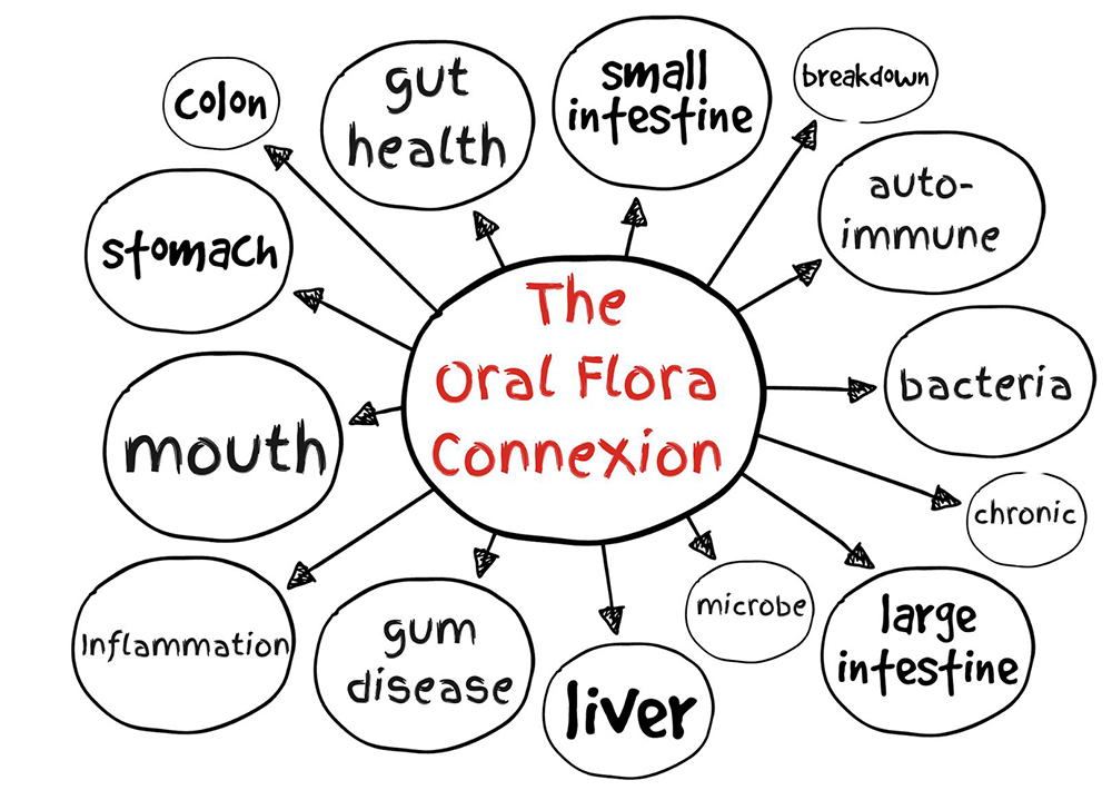 Oral Flora Connection