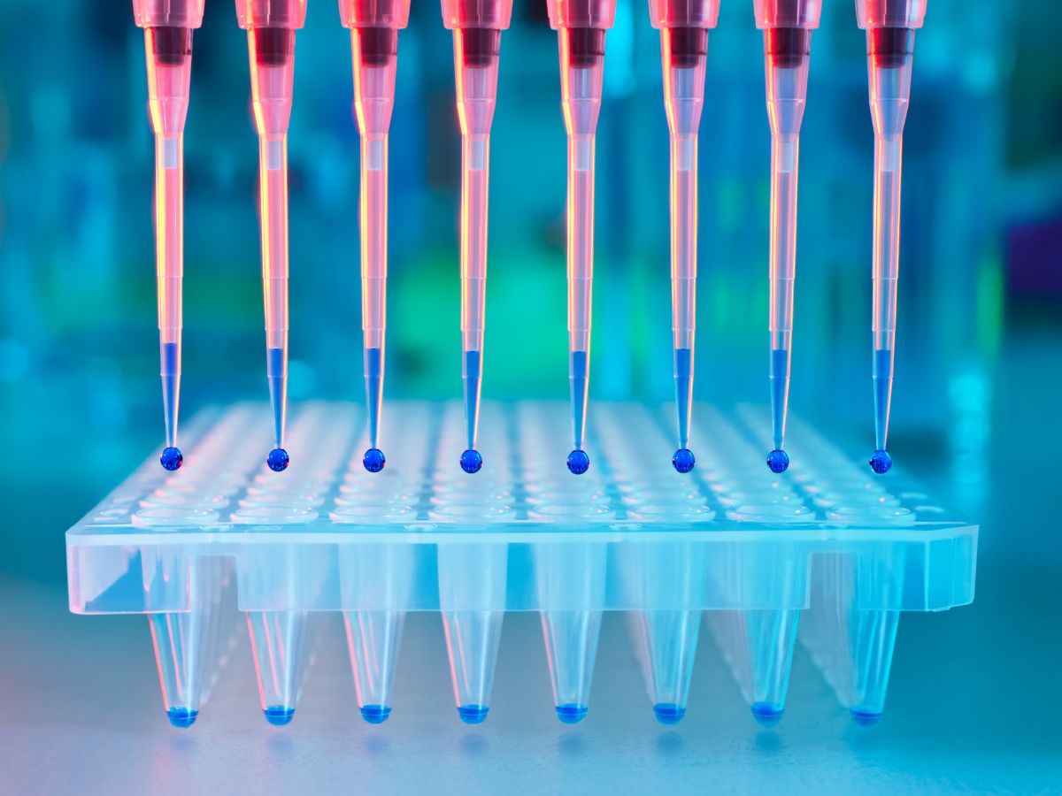 PCR Testing