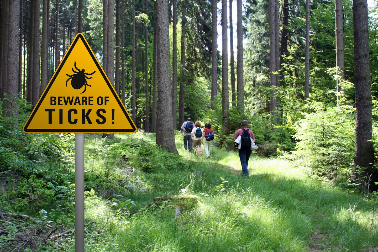 Hiking in forest with sign that says beware of ticks